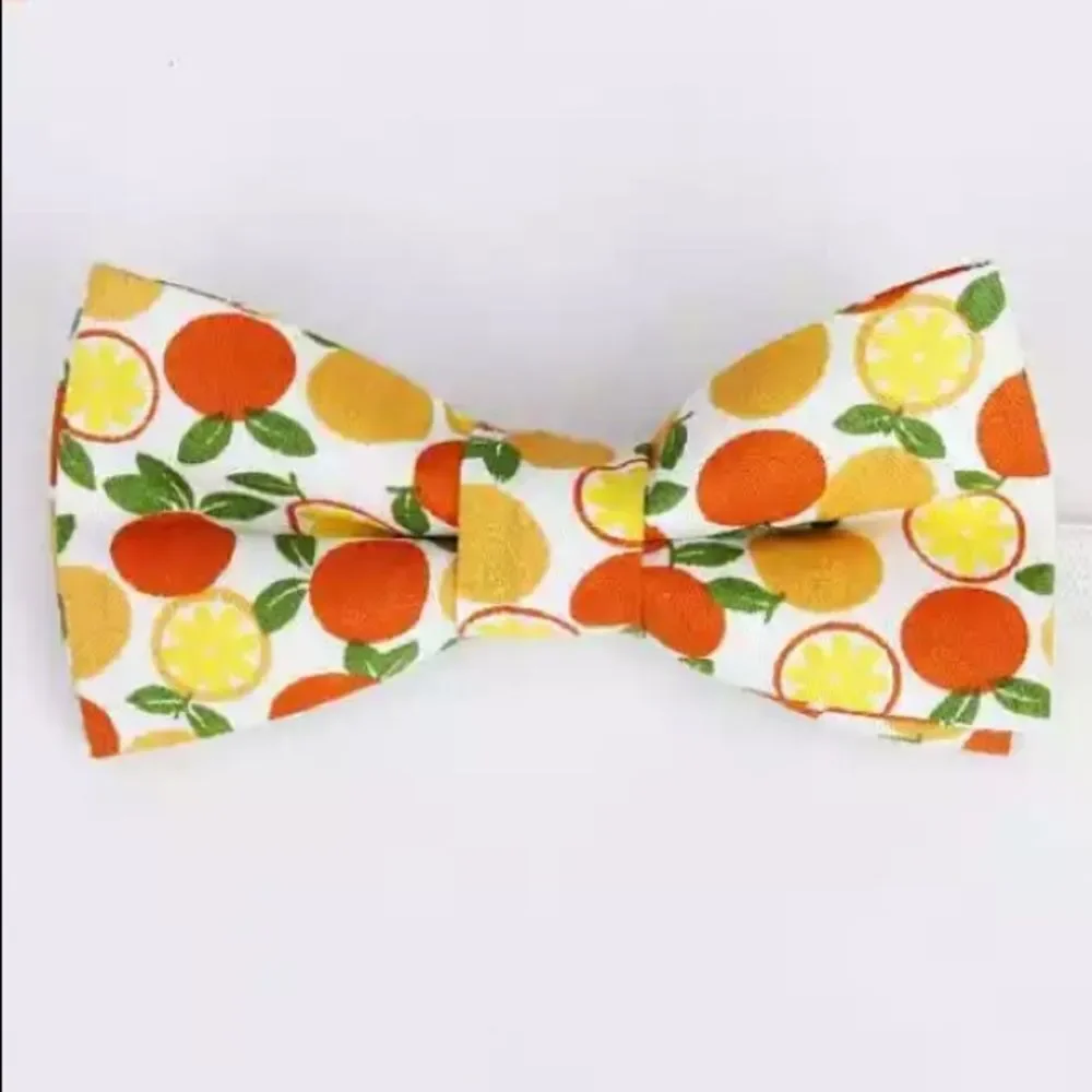 Trendy & Bright, Youth Adjustable Fruity Bow Tie, Assorted, One Size